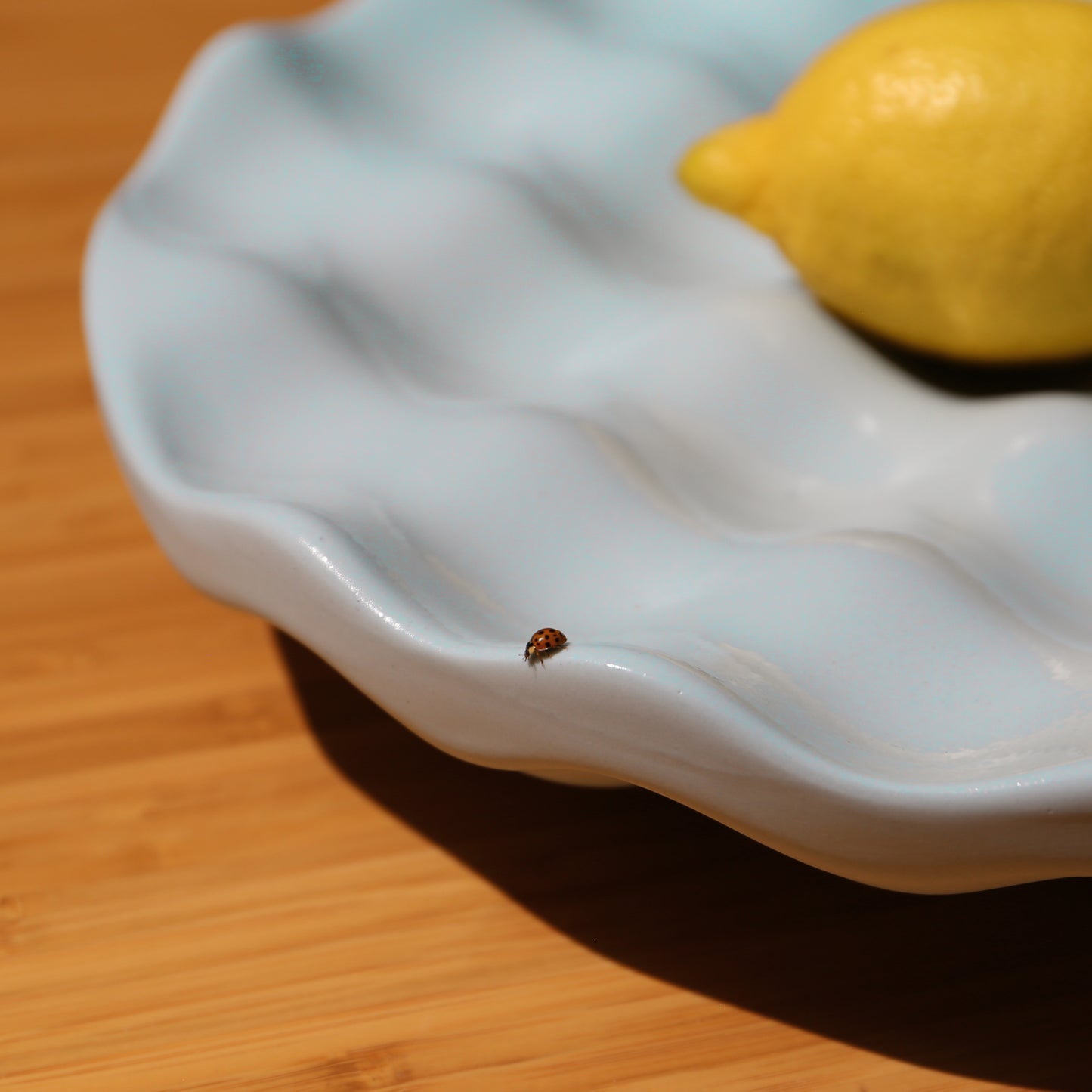 Lemon on Dune Bowl colour light blue with a ladybug nearby on a wooden surface