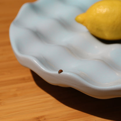 Lemon on Dune Bowl colour light blue with a ladybug nearby on a wooden surface
